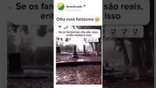 CACHORRO FANTASMA🤣 #humor #memes #shorts #shortvideo