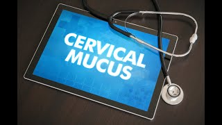 Cervical Mucus: All You Need To Know