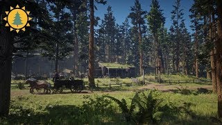 RED DEAD REDEMPTION 2 Ambience | Manzanita Post | Tall Trees | Day/Night Cycles