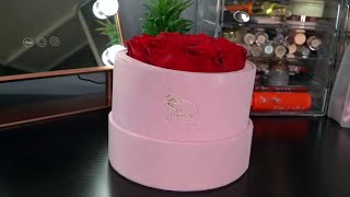 Review Rose Forever New York - Essential Pink Suede Red Preserved Roses