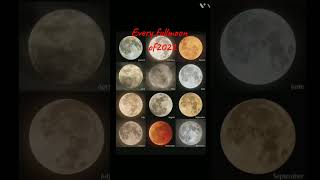 Moon ! colors  of moon  | full blue moon23 | #shorts #viral #youtube #celestial #space #science #edu