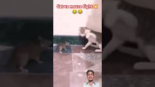 Cat vs mouse funny fight 💥🤪 #Shorts #cat #mouse #animals #funny