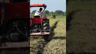 may cay kubota | động cơ kubota l5018 #Short #Shosts @locnhitv #kubota #tractor #maycay