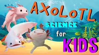 Axolotl | Science for Kids