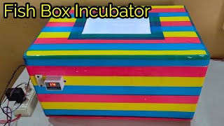 How to Make Fish Box Incubator Easy || Thermocol Incubator || SG Rangpur