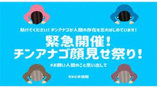 助けて！　チンアナゴが人の存在を忘れそう　すみだ水族館で初の試み