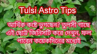 Tulsi Astro Tips||আর্থিক কষ্টে ভুগছেন?তুলসী গাছে এই ছোট্ট জিনিসটি রেখে পুজো করুন,ফল পাবেন কয়েকদিনেই