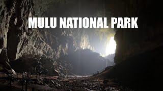 Mulu National Park (Deer Cave, Lang Cave, Wind Cave & Clearwater Cave)