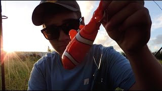 bath toy fishing lure challenge