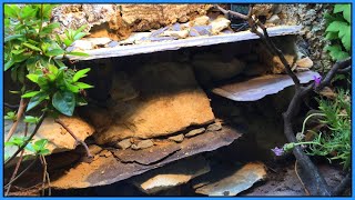 REAL Reptile Rock Background - DIY Rock Wall for Reptile Tank | How to Set Up a Vivarium #3