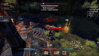 Werewolf Tanking in Battlegrounds