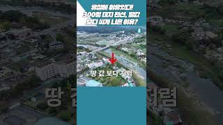 유찰에 이유 있다! 300평 대지 펜션, 땅값 보다 싸게 나온 이유?[부동산360]