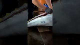 Stunning Cutting Skill on 498kg Super Giant Bluefin Tuna in Less Than 1 Minutes