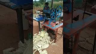 lady making sugarcane juice #sugarcane #juice #shortsfeed