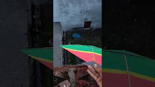 Bhaiya patang dedo | kite giveaway 🤩 #kitelover #kite