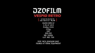 DZOFILM Vespid Retro Lens Test