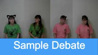 Sample Debate Group Work