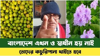 বাংলাদেশের জনগনের কচুরিপানা খাইতে হবে | Sefda New Video | Bd News | সেফুদার নতুন ভিডিও | Sefuda