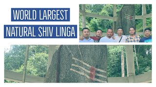 World largest Natural Shiv Linga ! 25 Feet long, and visited Seeh lake #arunachalpradesh