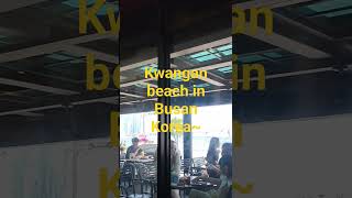 Kwangan beach Cafe~ 광안리 카페~