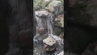 Ambassador Gardens Waterfalls  - Pasadena CA #ambassadorgardens #pasadenaca