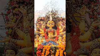 Durga Mata Visarjan Video | Durga Mata | #durgapuja #durgamaa #shorts