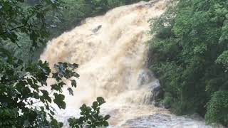 Falls of Clyde after heavy rain