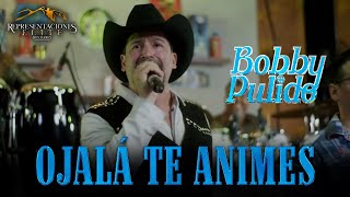 Bobby Pulido - Ojalá te animes