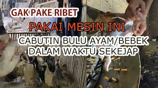 mesin pencabut bulu ayam/bebek/entok unggas lainnya,  gak perlu capek otomatis kerjanya cepat