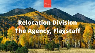 Relocation Division - The Agency, Flagstaff