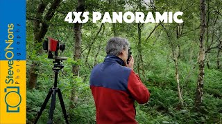 Large Format Panoramics in the forest