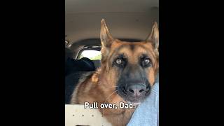 He hates Truck Stop #German Shepherd