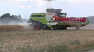 LEXION 770 CLAAS Rapsernte 2018