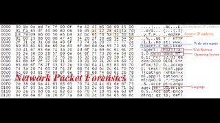 Network Packet Forensics