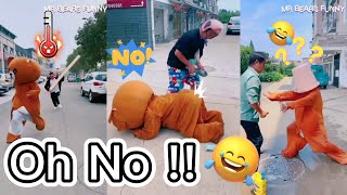 Funny Video l Funny Bear 🐻😂 Part 8 l Funny Pippi Bear