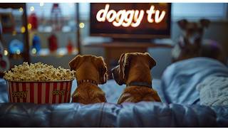 Dog TV 🐶🐕🐩  Doggy Tv Keep your dog busy while you are away or entertained while you cuddle