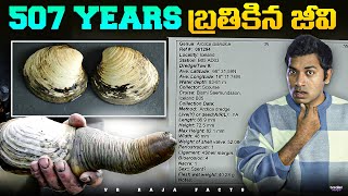 All Time Oldest Animal In History | Top 10 Interesting Facts | Telugu Facts | VR Raja Facts