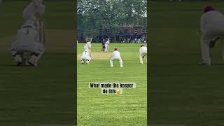 Seam bowler sets up batsman!#cricket #cricketlover #catch