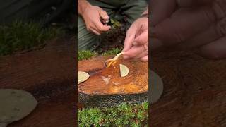 MAKE A WATER PROOF FIRE STARTER #waterproof #firestarter #trendingshorts #forest #wildlife #skills.