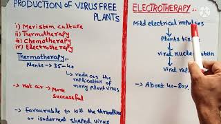 Production of virus free plants|| electrotherapy||chemotherapy|| thermotherapy