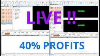 🚀🚀2 live trading on a $400 account with ARBITRAGE TRADING using the WP7 Robot! 🚀🚀