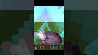 If i eat corus fruit #minecraft #short  #meme #memes