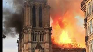 Notre Dame Cathedral Tribute