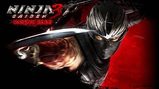 Ninja Gaiden 2021 PC