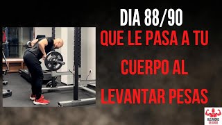 QUE LE PASA A TU CUERPO AL LEVANTAR PESAS?? | DIA 88/#90tu1millon