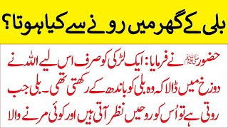 Billi Ghar main roye to roheen ati hen? | Islamic Story | Cat Story | Imam Ali Urdu Islamic Stories