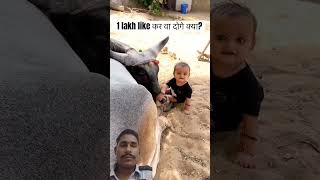 Jay gaymata #गऊ #animals #cow #gaay #baby #cutebaby #deshicow