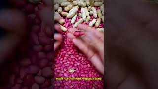 Alat Cerdas Sederhana Untuk Mengupas Kacang Tanah #shorts