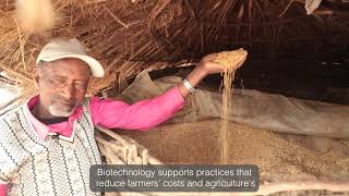 Agricultural biotechnology: Tool for adapting to and mitigating climate change