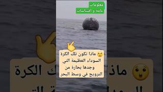 بحارة نرويجيون وجدوا شيءا غريبا وكبيرا يطفوا على الماء #معلومات #أحداث وظواهر